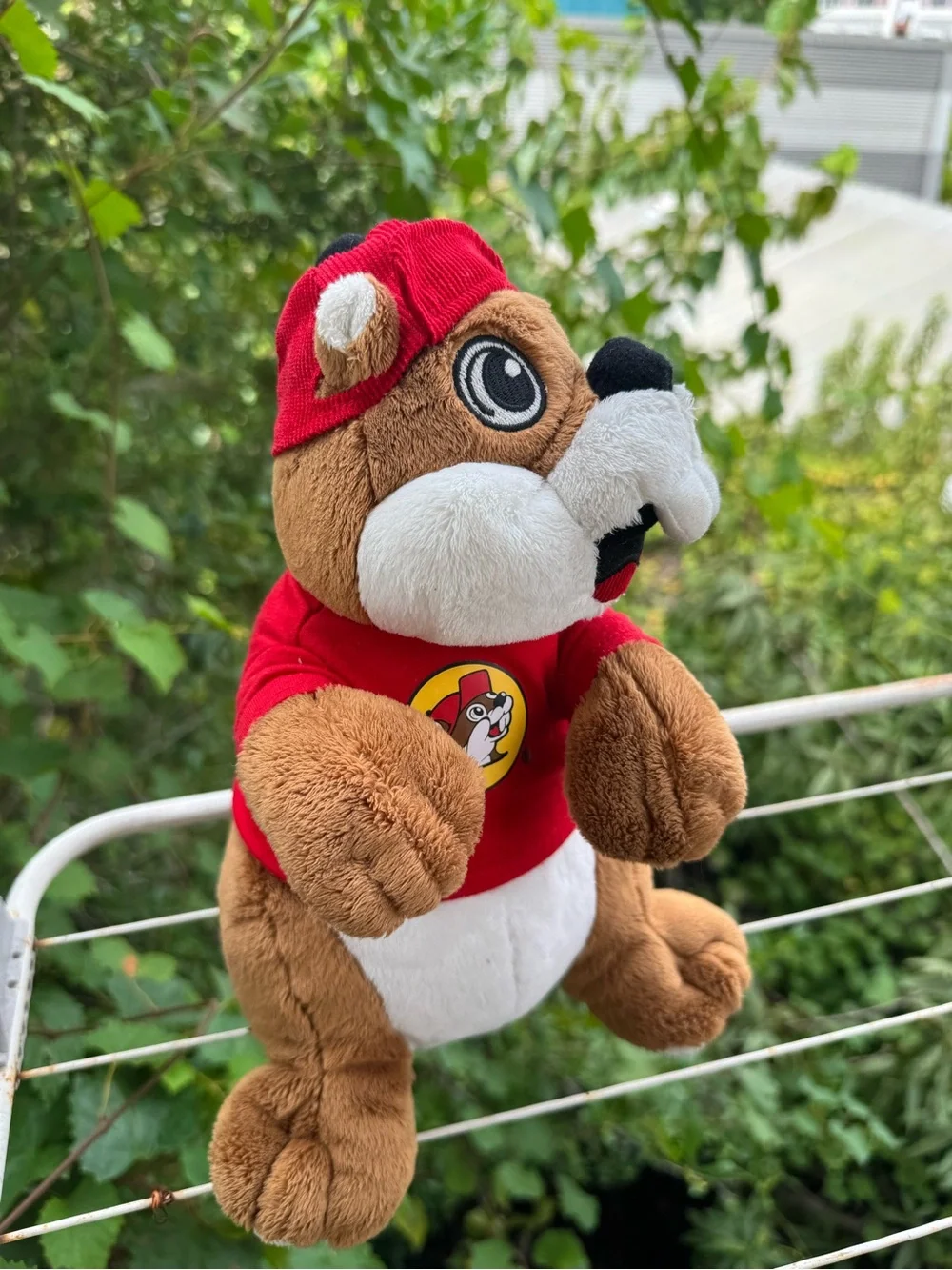 Buc-ees buc ee